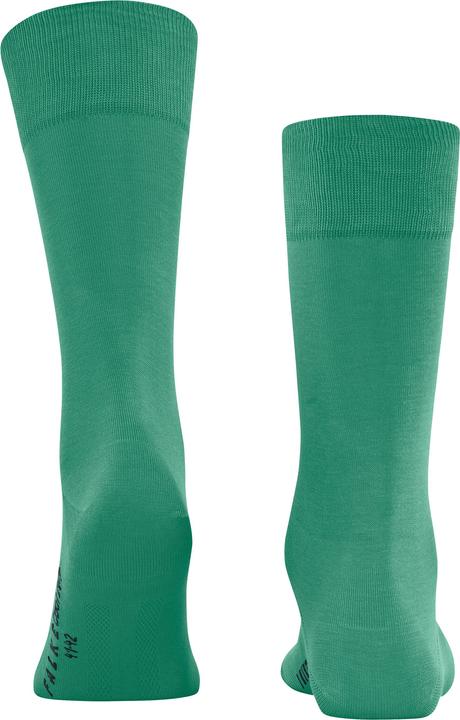 Image du produit Falke Cool 24/7 Men (43 - 44)