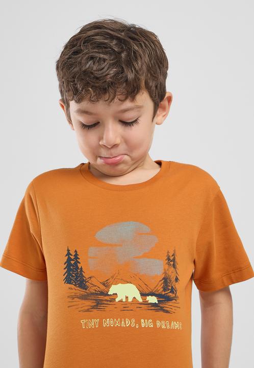 Immagine prodotto Jack Wolfskin Graphic Cotton T Kids (104)
