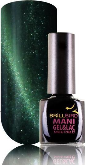 BrillBird Cat Eye Gel&Lac “Emerald” – 5ml (Emerald, Gel-Effekt Nagellack)