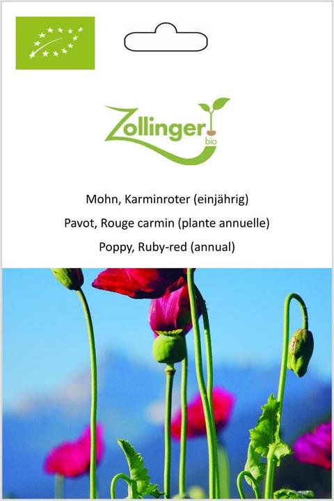 Actual product image Zollinger Bio Poppy, crimson (annual) (Seedlings)