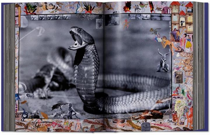 Produktbild Peter Beard (Deutsch, Englisch, Französisch, David Fahey, Owen Edwards, Steven M. L. Aronson, Nejma Beard, 2020)
