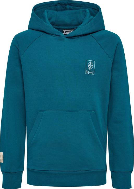 Image du produit hummel Gg12 Sweat Hoodie Kids (116)