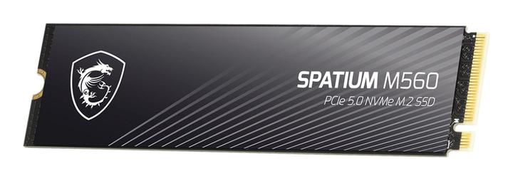 Immagine prodotto MSI 1TO M.2 NVME GEN5 - SPATIUM M560 (1000 GB, M.2 2280)