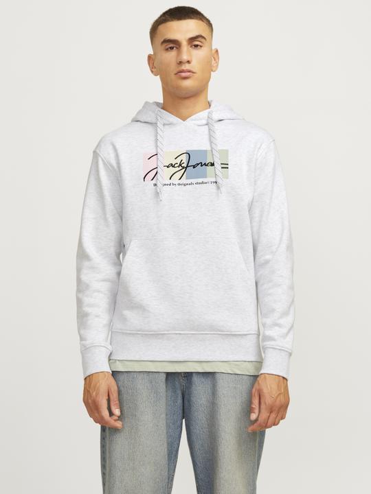 Produktbild Jack & Jones Jorportland Block Sweat Hood Ln (XL)