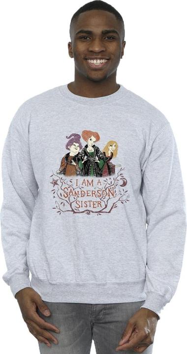 Produktbild Disney Hocus Pocus Sanderson Sister Sweatshirt (XXL)