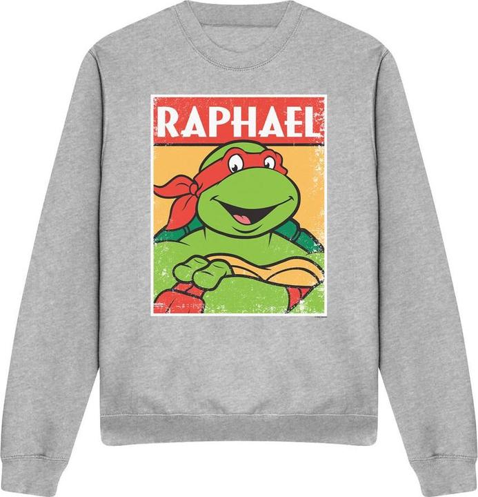 Teenage Mutant NT Sweatshirt (XL)
