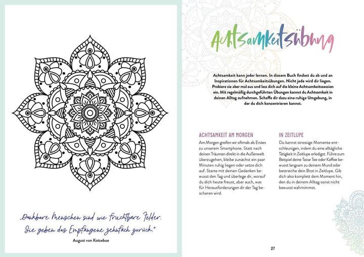 Immagine prodotto Taccuino Bullet Journal Mandala 21,6 x 15,3 cm (21,6 x 15,3 cm, Nessuna, Copertina rigida)