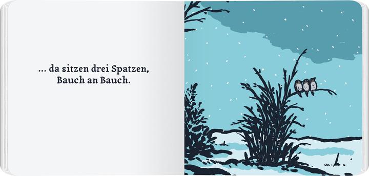 Immagine prodotto Die drei Spatzen (Tedesco, Christian mattina stella, Filippo Waechter, 2024)