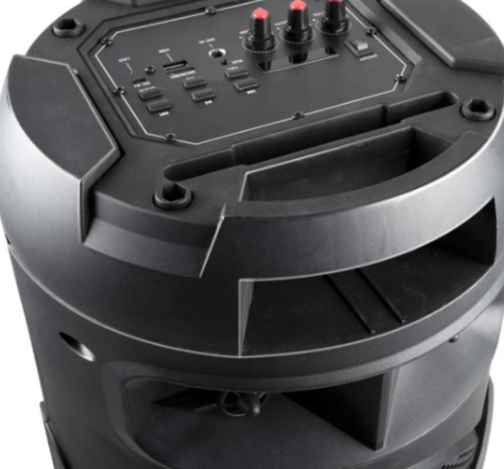 Actual product image Dunlop Speaker karaoke BT 40W (Electrical connection)