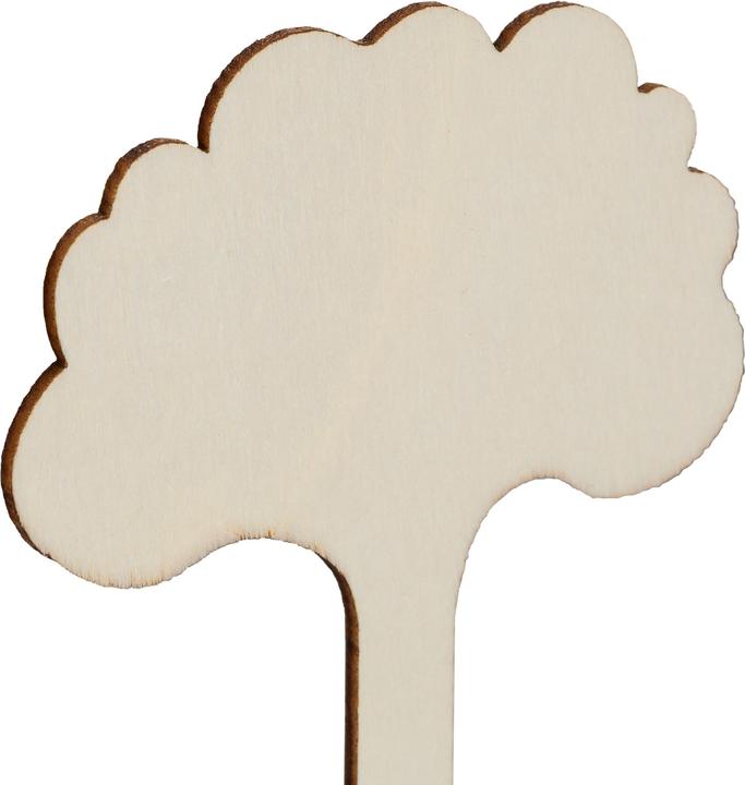 Immagine prodotto Relaxdays 100x spina di pianta (20 cm, 6 cm)
