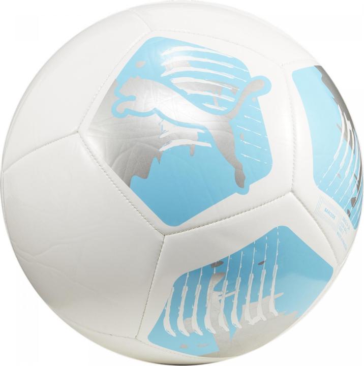 Actual product image Puma Big Cat ball