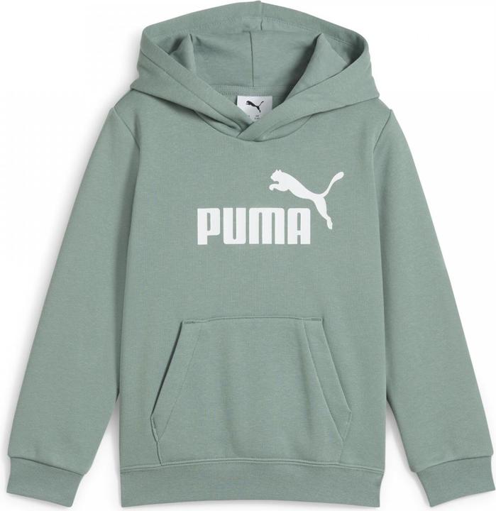 Image du produit Puma Sweat à capuche ESS No. 1 Logo FL PS (122)