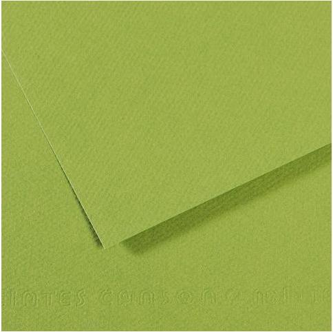 Produktbild Canson Zeichenpapier Mi-Teintes, grün (160 g/m², 10 x)