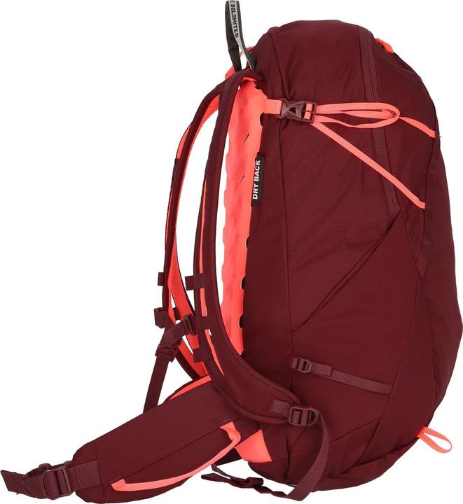 Actual product image Salewa Mountain Trainer L Backpack Da (22 l)