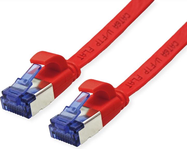Rot