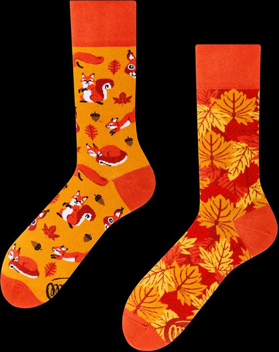 Actual product image Many Mornings The Squirrels (Single pack, 35 - 38)