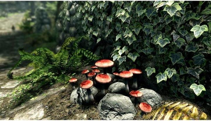 Actual product image Bethesda The Elder Scrolls 5: Skyrim Anniversary Edition (Free upgrade to PS5) (PS4, DE)