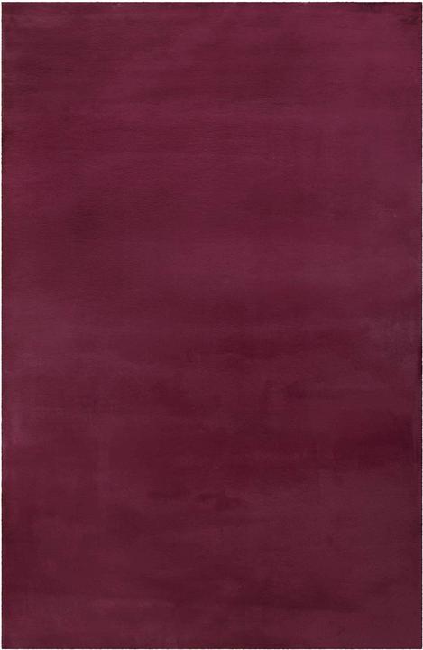 Violet bordeaux