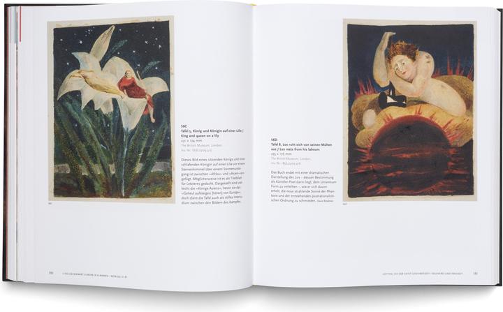 Actual product image William Blakes Universum (German, Blake, William/Bindman, David/Chadwick, Estherua, 2024)