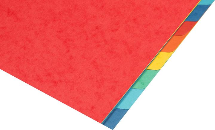 Immagine prodotto Biella colore top
