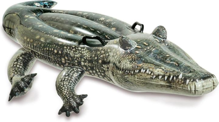 Intex Gator réaliste