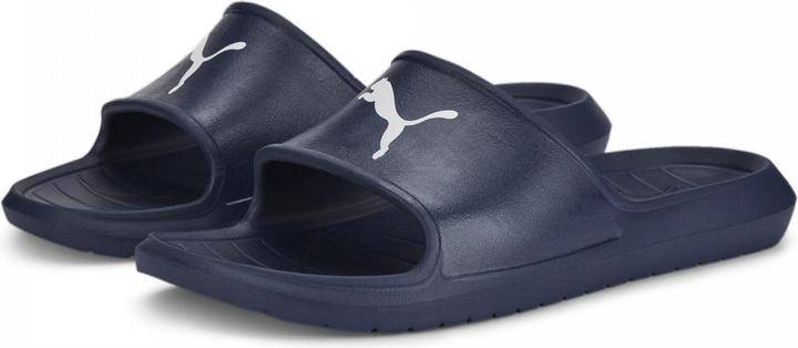 Puma Divecat v2 Lite Cat