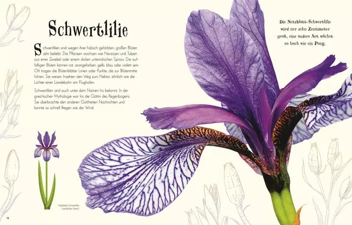 Produktbild Wundervolle Welt der Natur (Deutsch, Ben Hoare, 2020)