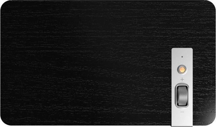 Actual product image Klipsch The Three Plus (Electrical connection)