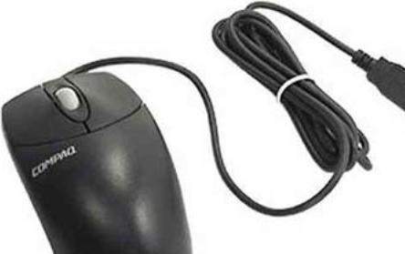 Actual product image HP USB optical mouse black (Cable)