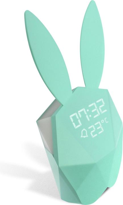 Turquoise, Light blue, Mint, Blue