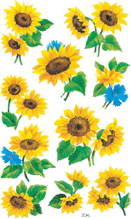 Produktbild Z-Design Blumenaufkleber