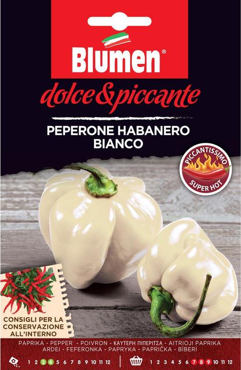 Actual product image Blumen Peppers Habanero Bianco (Vegetable seeds)