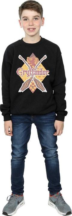Immagine prodotto Gryffindor Lozenge Felpa Ragazzi (152, 158)