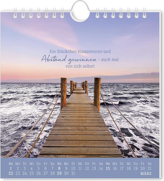 Produktbild Postkartenkalender 2026 Strandgut (16 x 17 cm, Deutsch)
