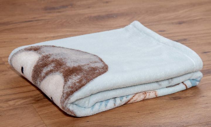 Produktbild Babybest Pinguin Microfaserflausch-Decke (75 x 100 cm)