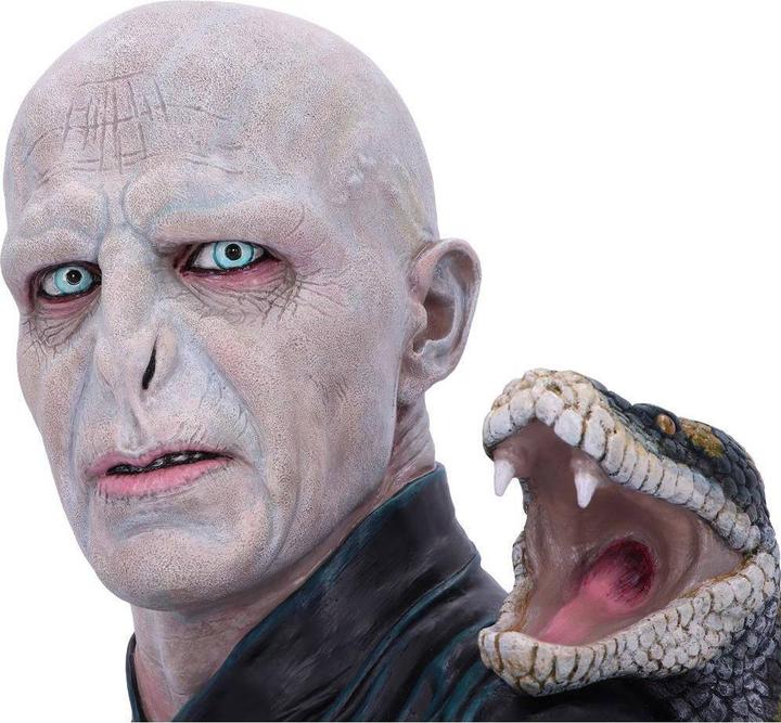 Image du produit Nemesis Now Harry Potter Lord Voldemort
