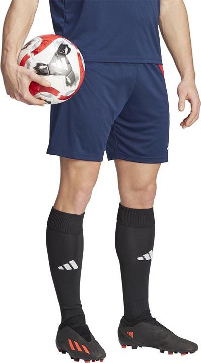Produktbild adidas FORTORE 23 Trainingsshorts Herren (XS)