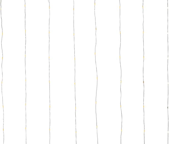Immagine prodotto STT Capelli d'angelo (2.20 m)
