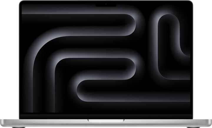 Apple MacBook Pro 14 - 2024 (14.20", M4 Max, 64 GB, 4000 GB, DE)