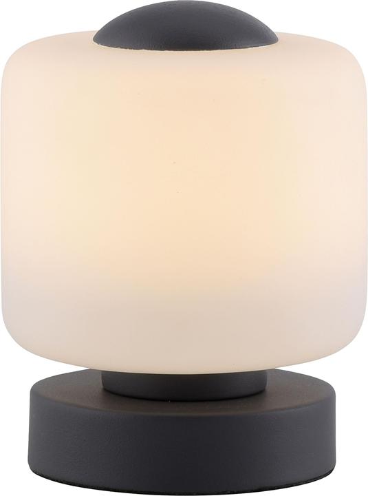 Actual product image Paul Neuhaus Bota (580 lm)