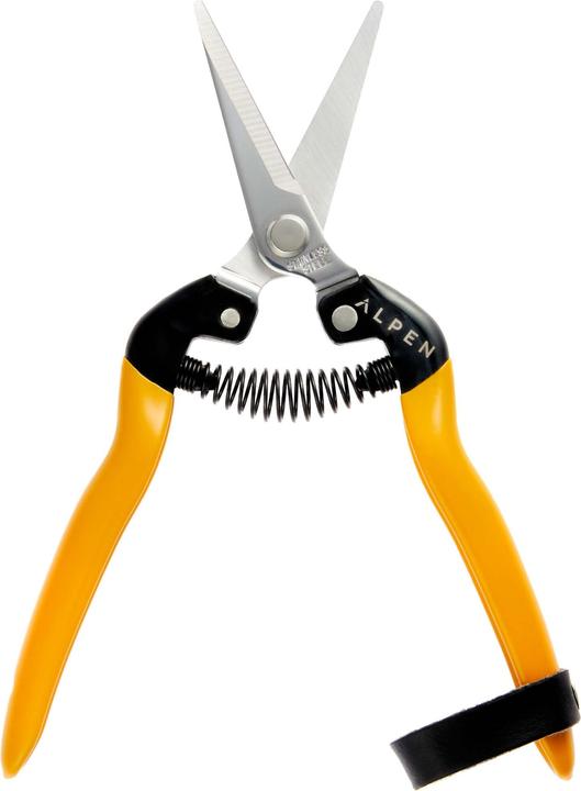 Alpen Swiss Tools Alpen RIGI 300 snoeischaar
