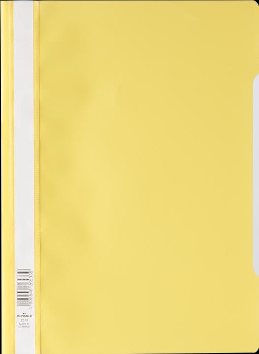 Durable Schnellhefter Standard (A4, 1 x)