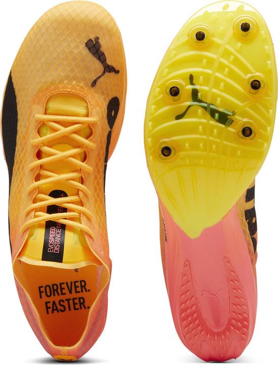 Actual product image Puma evoSPEED Distance Nitro Elite+ 4 (47)