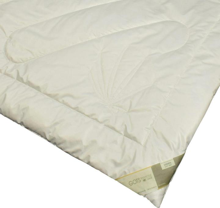 Actual product image Traumschlaf Organic hemp (1800 g, 200 x 220 cm)