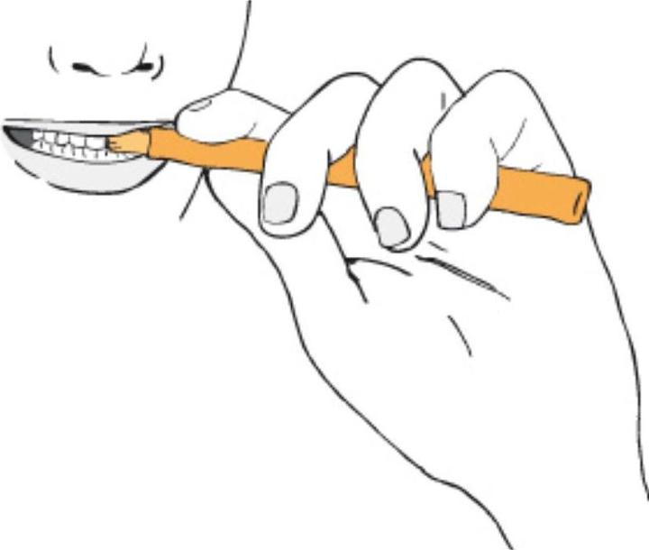 Produktbild Swak Zahnpflege Miswak Stick