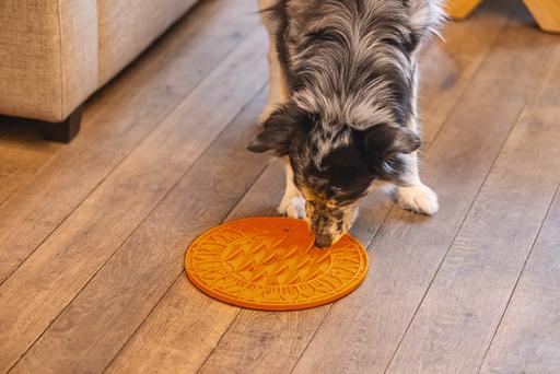 Actual product image Beeztees Sunflower lick mat