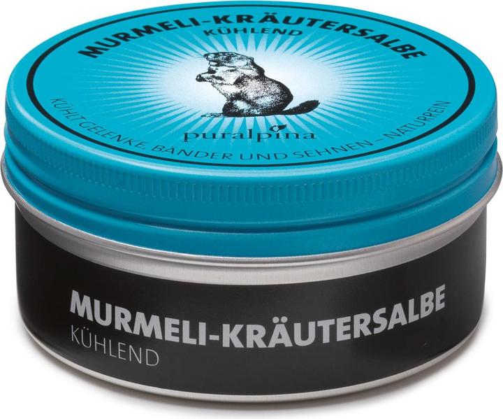 Puralpina Murmeli-Kräutersalbe kühlend (1 x, 50 ml, 70 g)