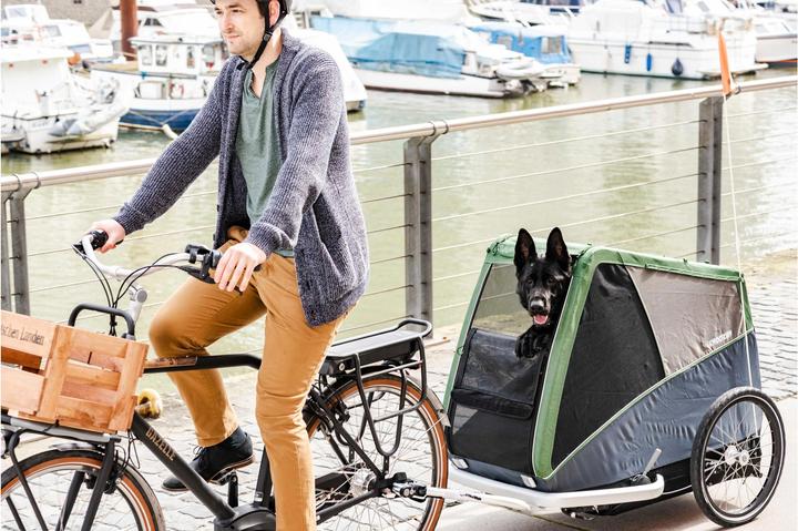 Produktbild Croozer Dog XXL