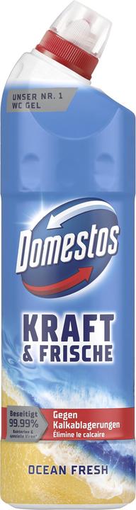Domestos Gel detergente per WC 750ml Active Power Ocean