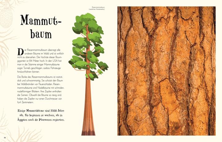 Produktbild Wundervolle Welt der Natur (Deutsch, Ben Hoare, 2020)
